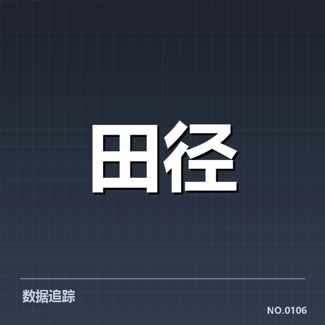 钻石联赛训练方法:顶级选手高效提升的秘密是什么